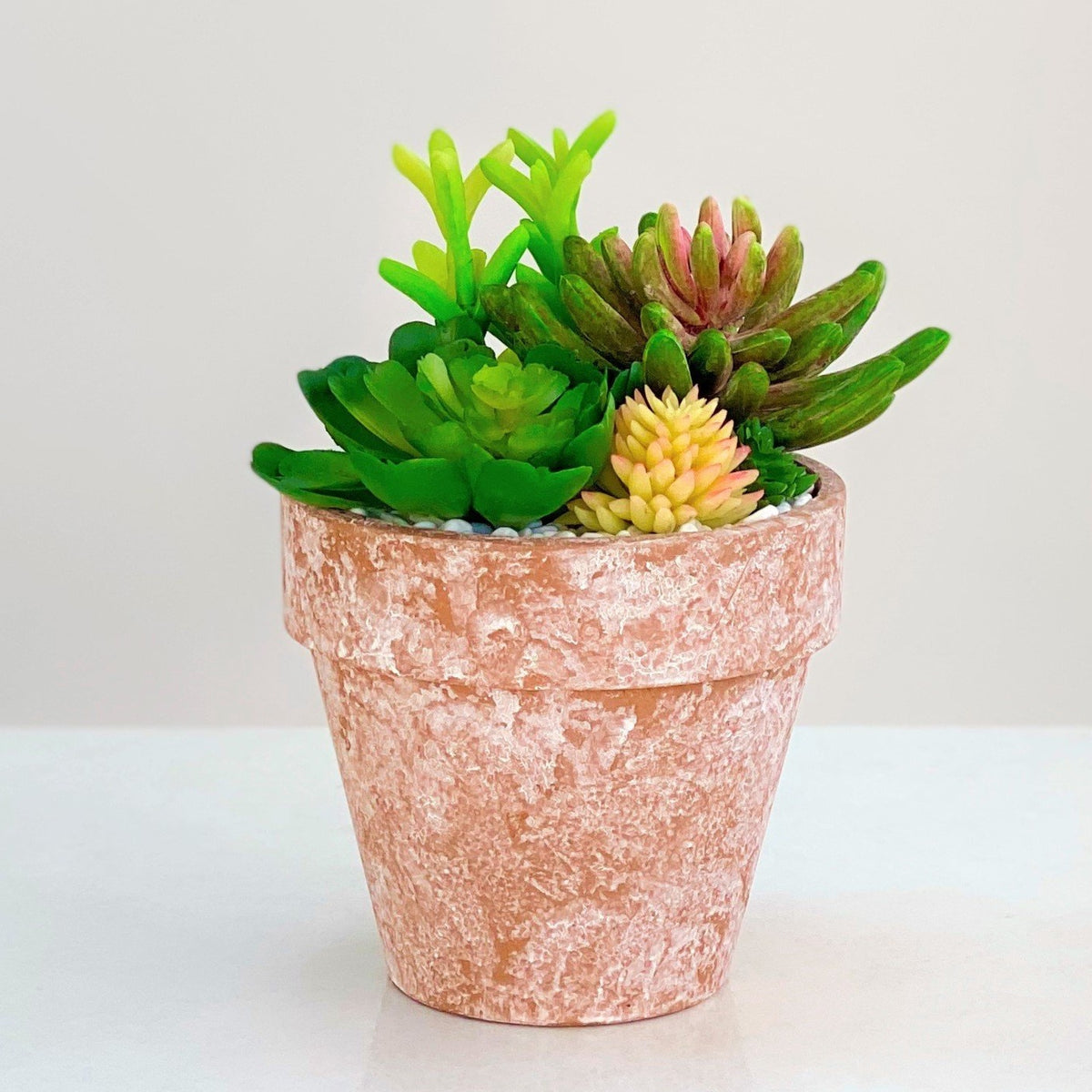 Succulent Arrangement in a Round Mud Pot