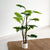 Philodendron Potted Faux Tree 58"