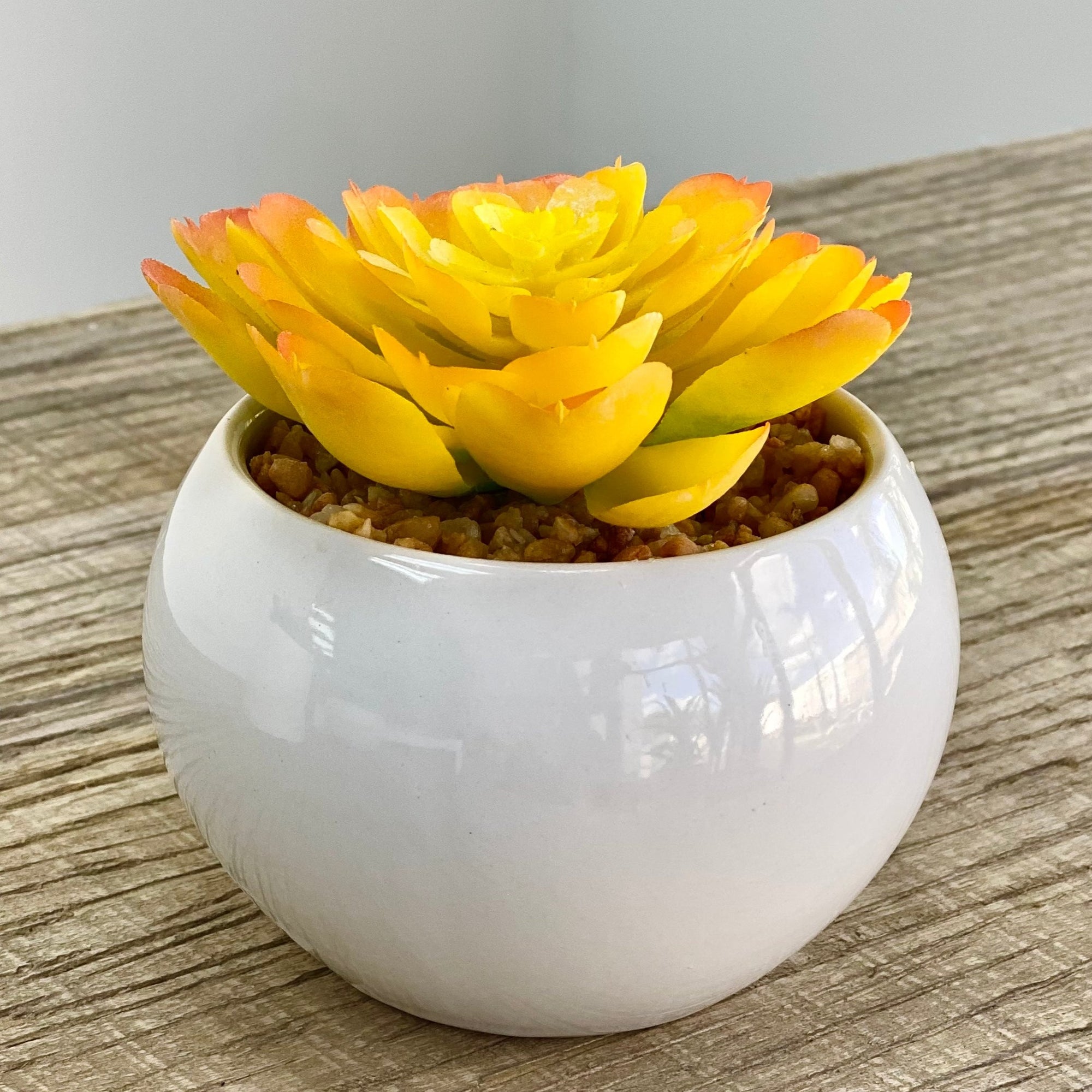 Atlantis Potted Faux Yellow Succulent White Pot