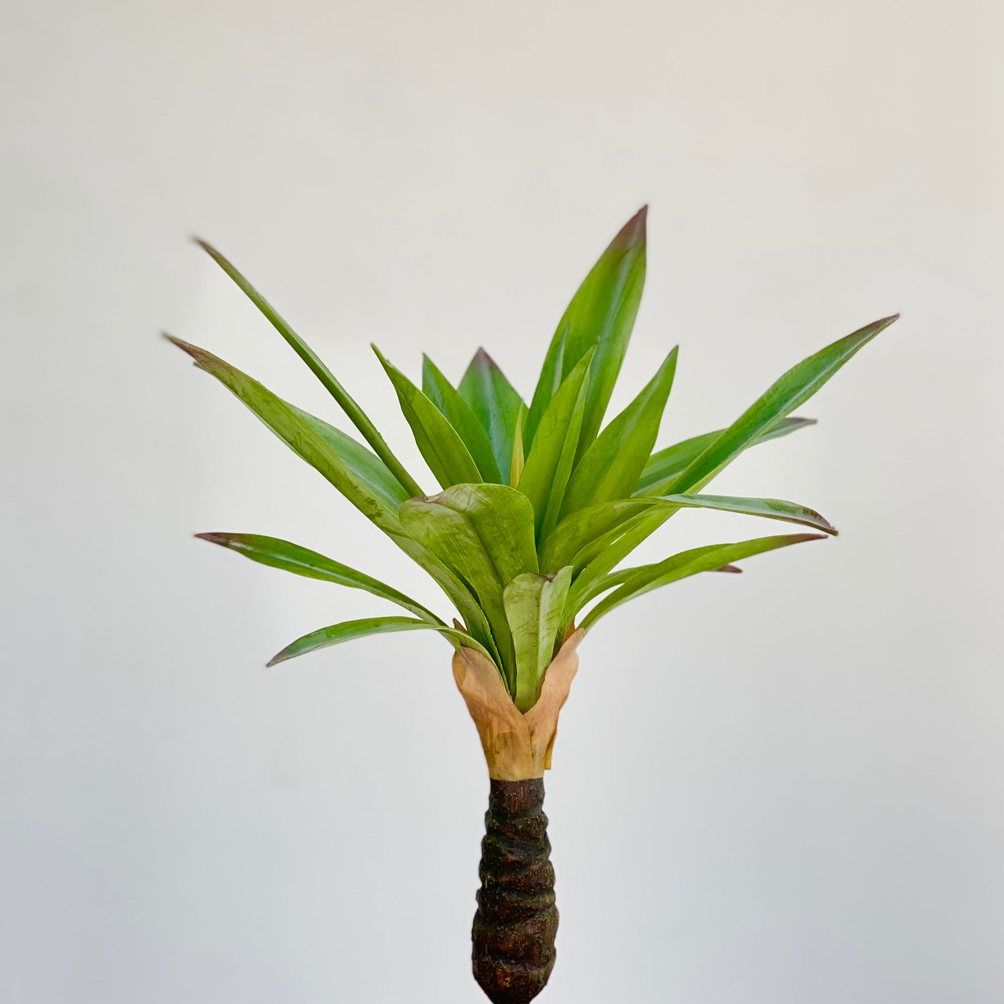 Pineapple Faux Plant