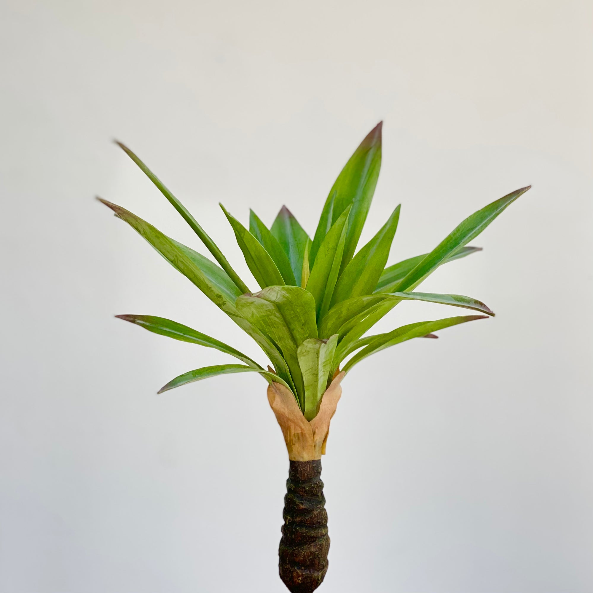 pineapple fake plant Pineapple Faux Plant