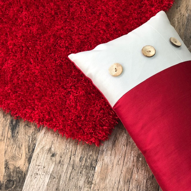 Express Red 3’ x 5’ Shaggy Rug