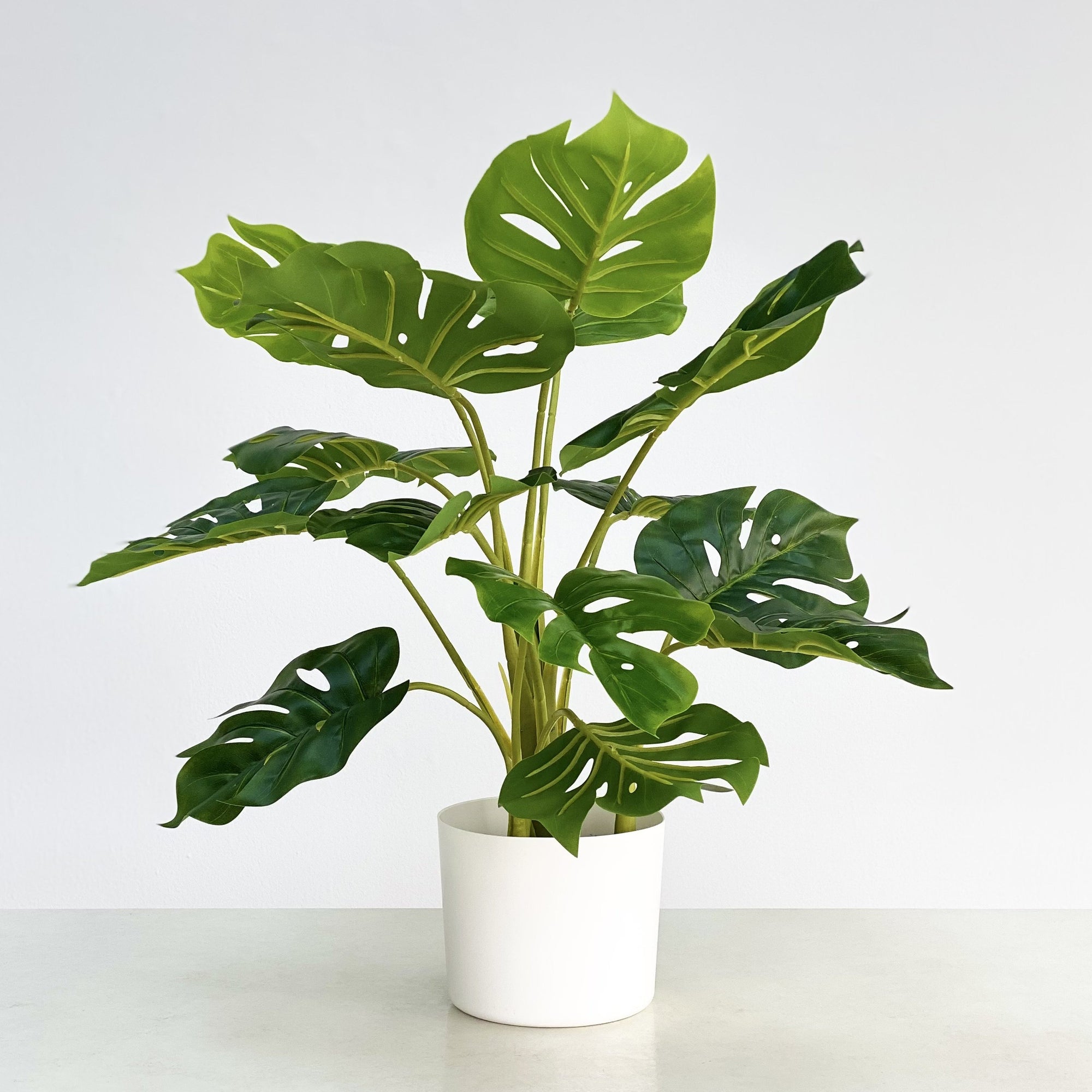 Real Touch Faux Monstera