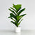 Real Big Touch Fiddleleaf Faux Tree