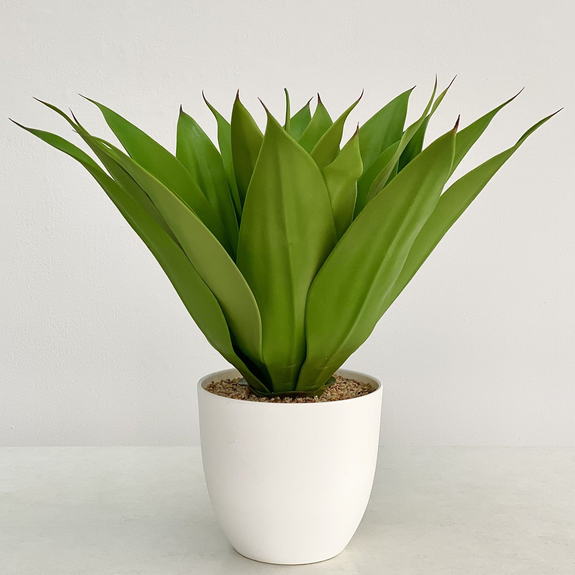 Potted Foxtail Faux Agave