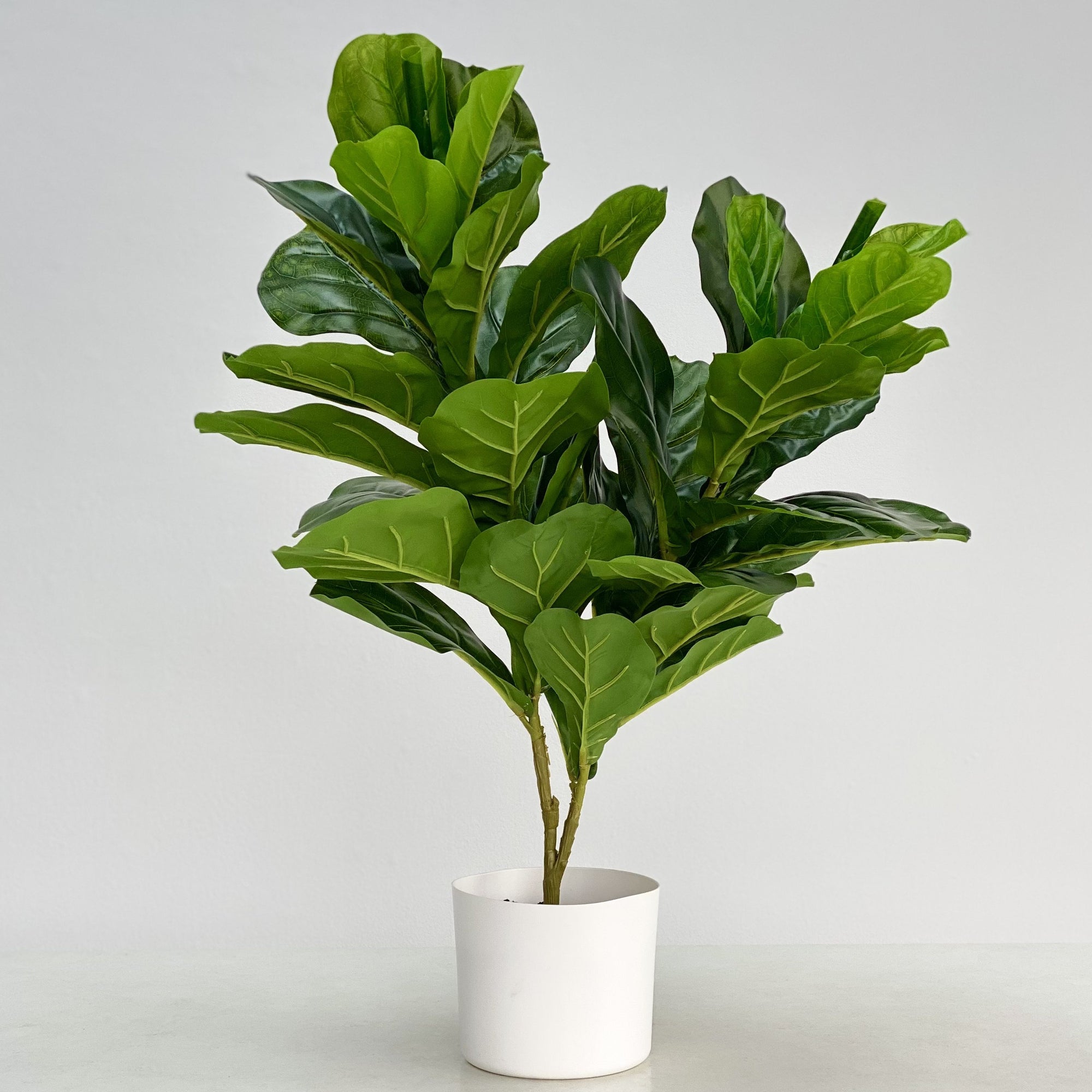 Real Touch Fiddleleaf Faux Tree