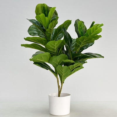 Real Touch Fiddleleaf Faux Almendro Tree