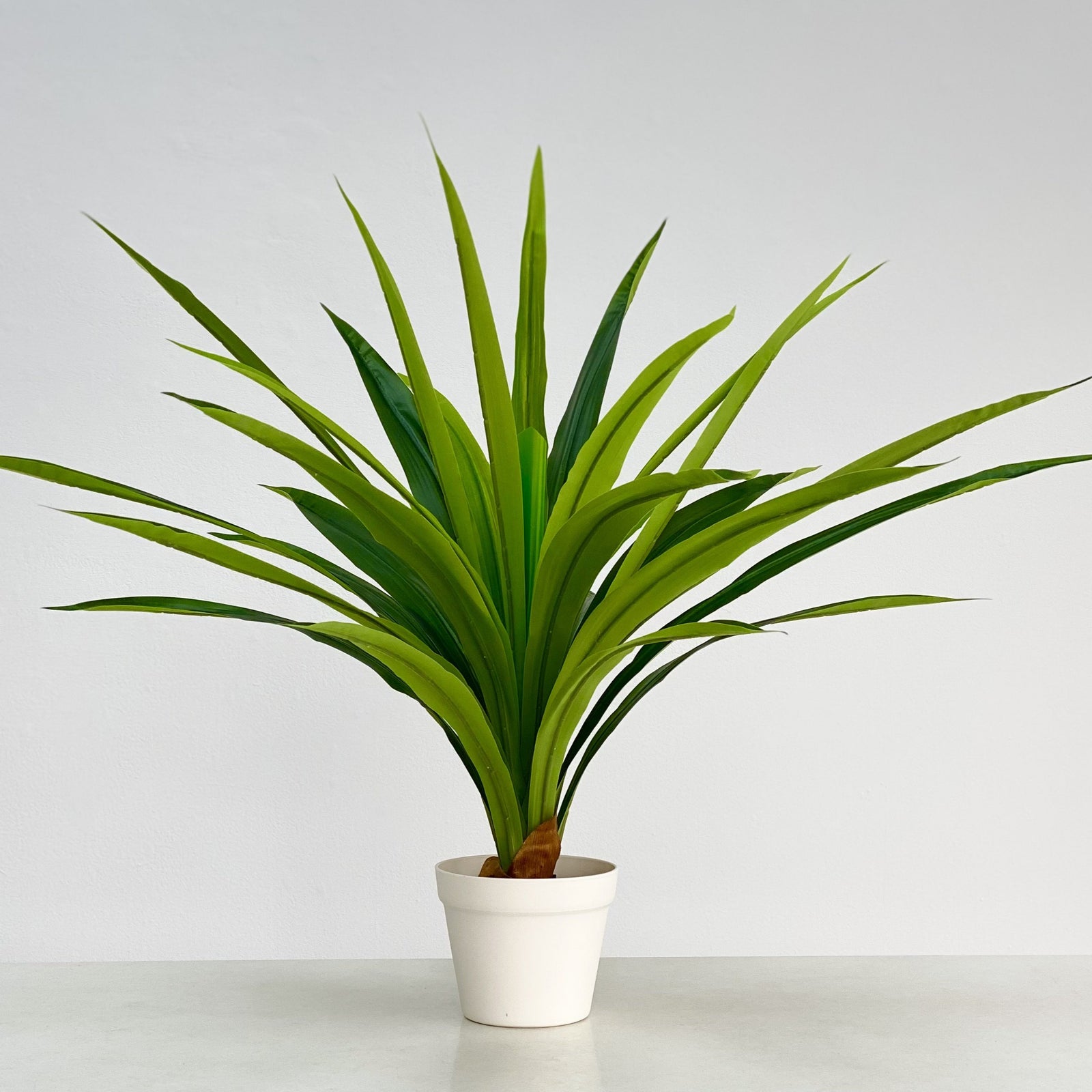 Real Touch Yucca Faux