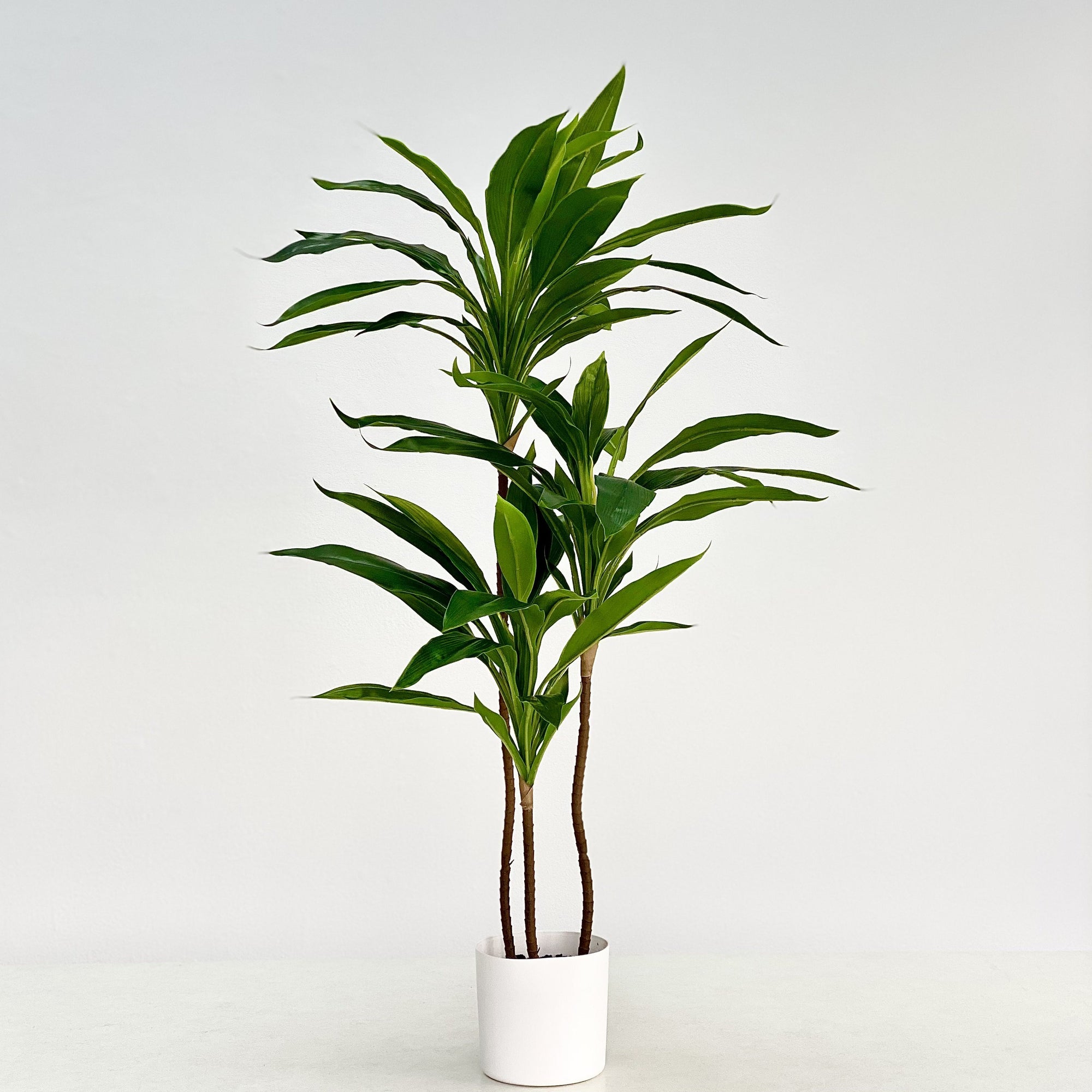 Real Touch Green Faux Dracaena