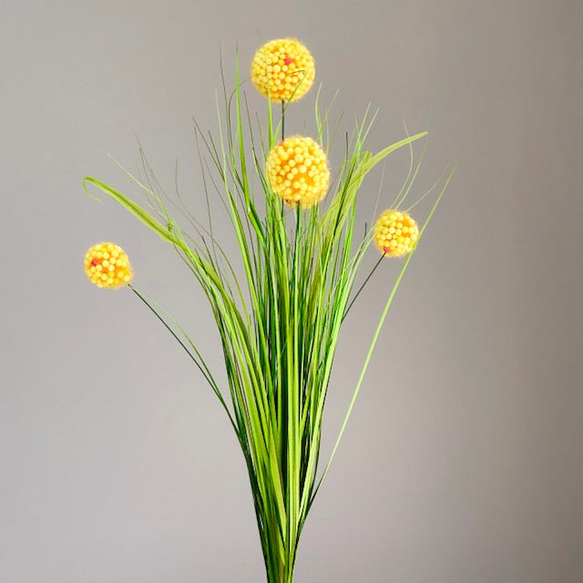Yellow Dandelion & Green Grass
