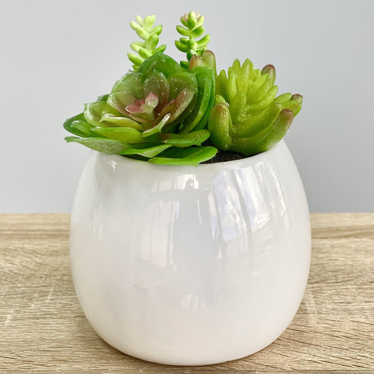 Green Succulent Bush Ceramic Round Pot