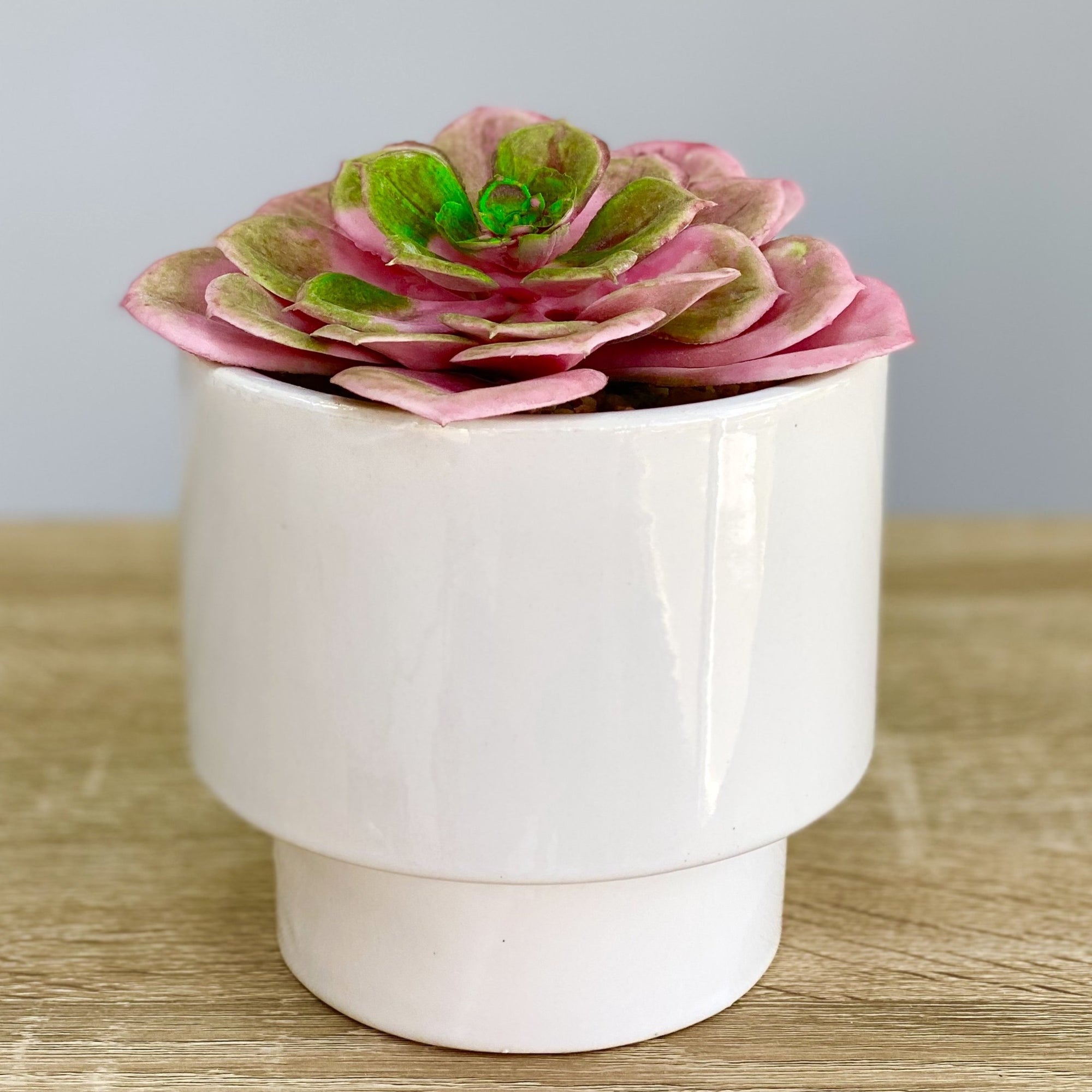 faux pink succulent Pink Succulent Simple Ceramic Pot