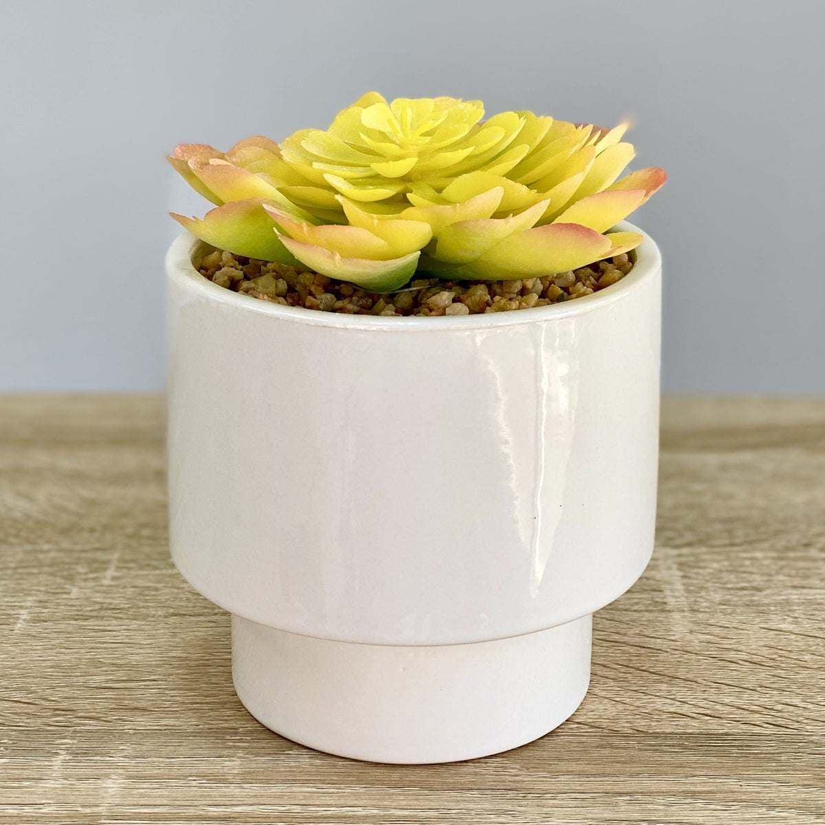 Yellow Succulent Simple Ceramic Pot