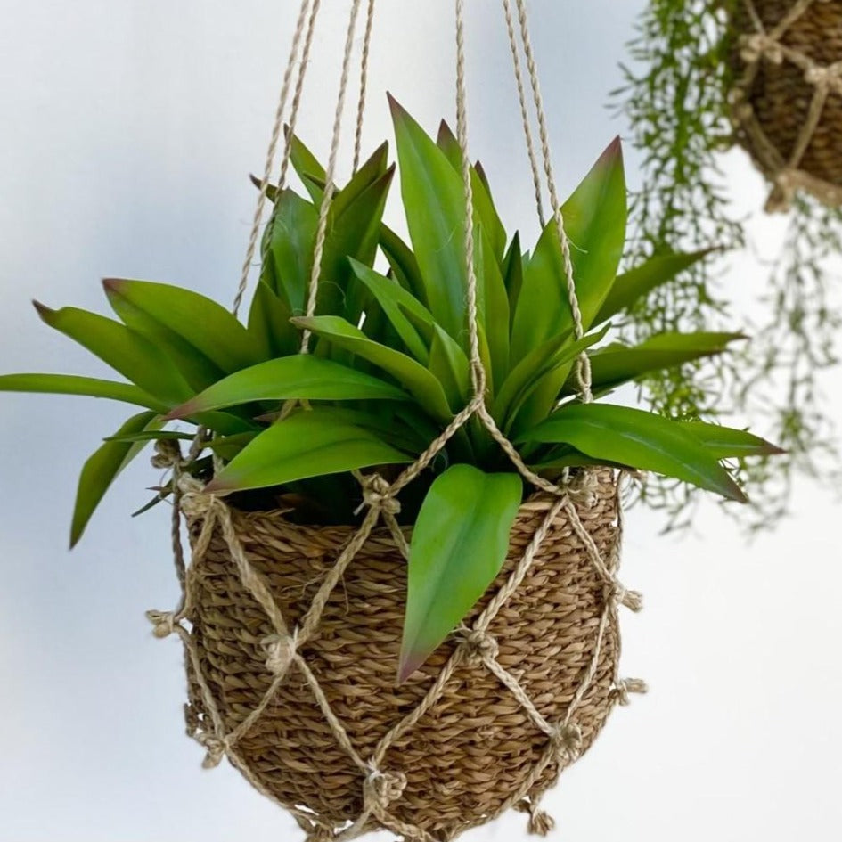 Macrame Plant Hanger With Sea Grass Basket