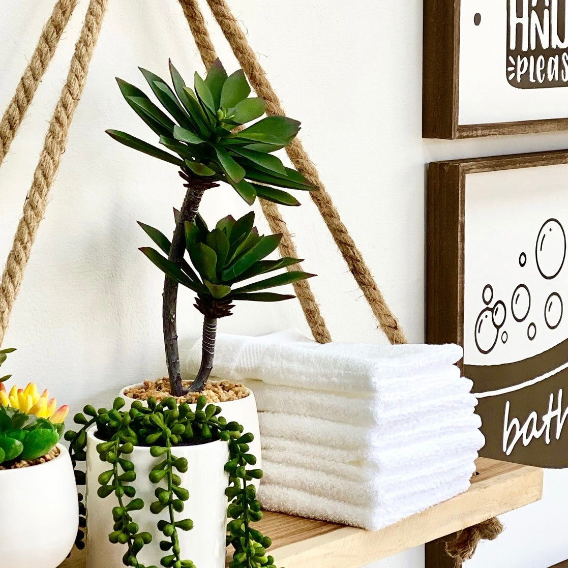 Echeveria Potted Succulent With Stem