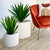 Eye Fiber Clay Terrazzo Planter Set of Two