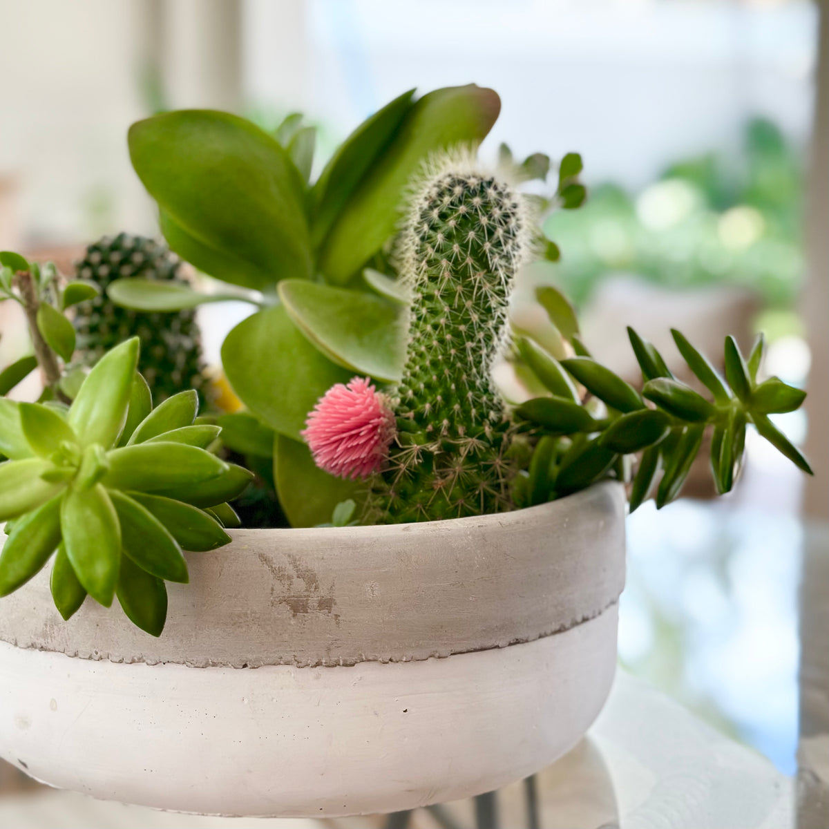 White Base Stripe Cement Vase