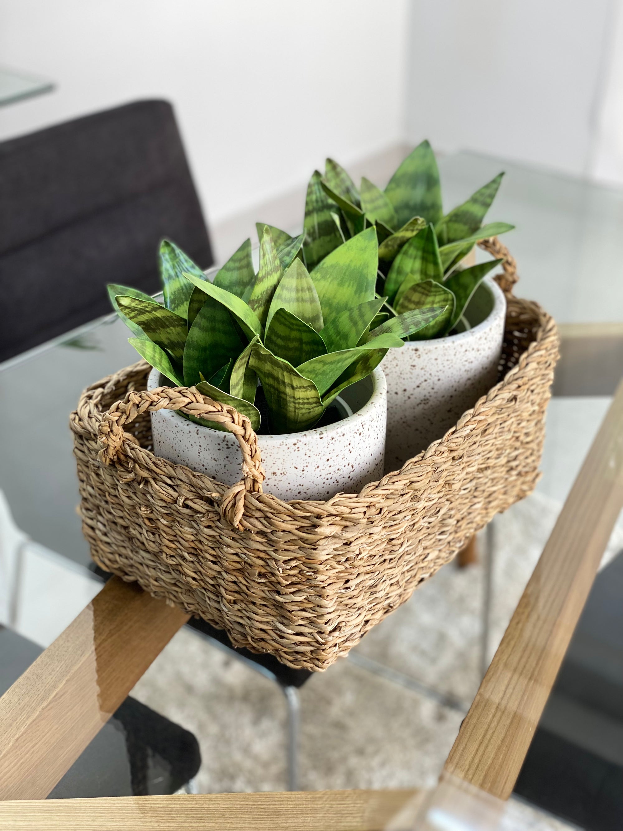 petite sansevieria Petite Real Touch Potted Green Sansevieria