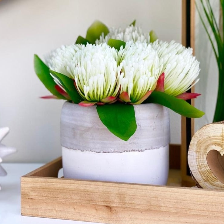 White & Red Lilacs Sylvester Flower