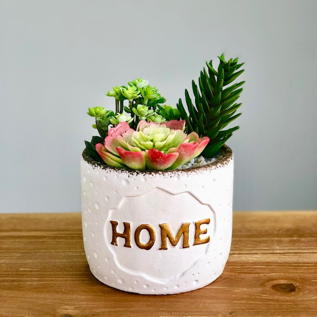 Synthetic Three Succulents in "Home" Pot
