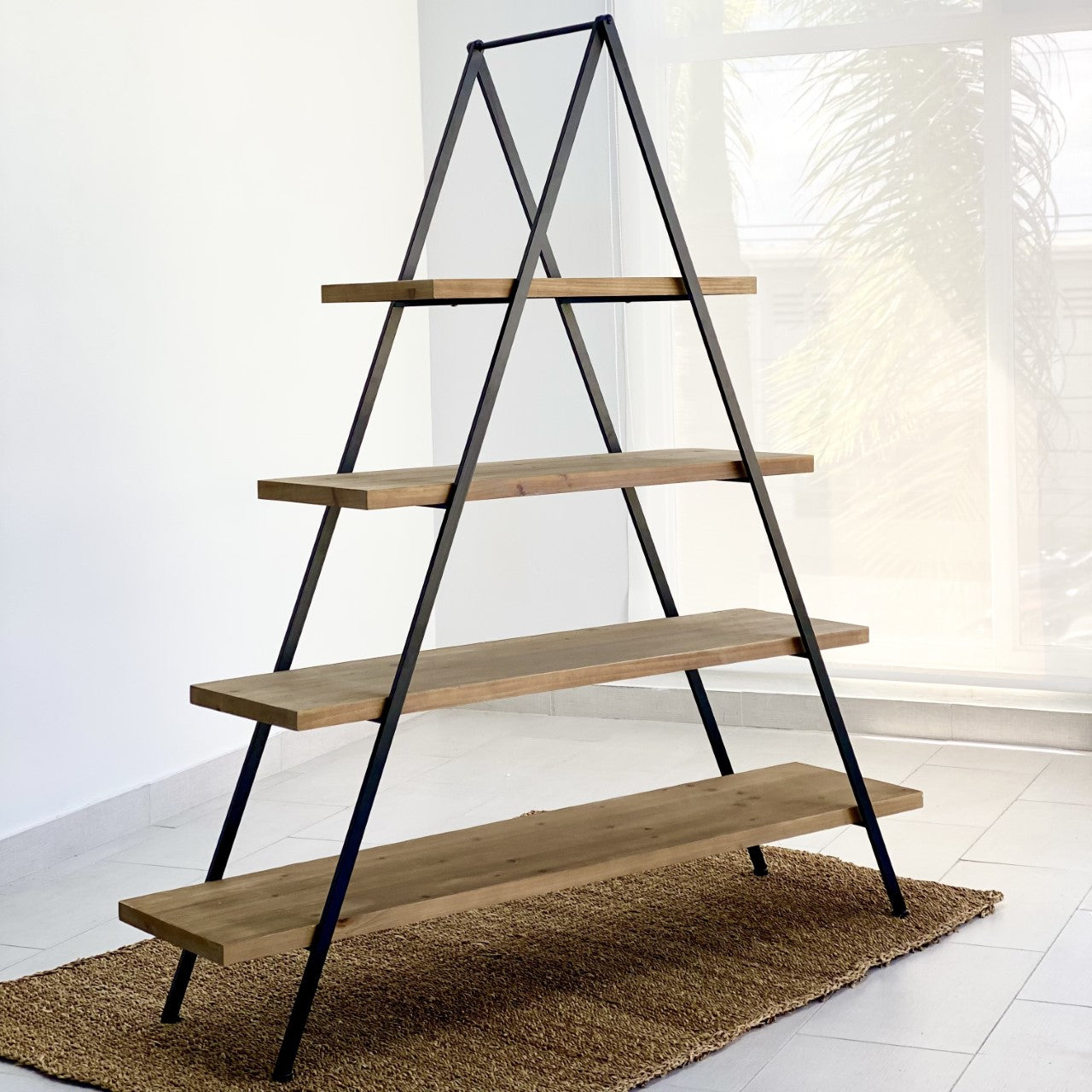 Immensity Triangle Bookshelf